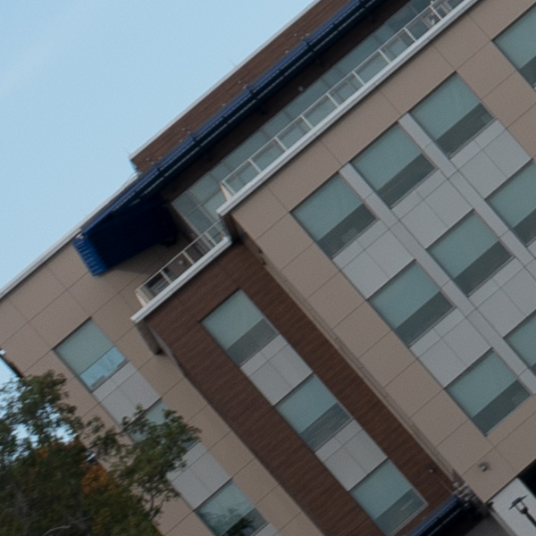 Panasonic Lumix S PRO 70-200mm f/2.8 O.I.S. Review: Field Test -- Gallery Image