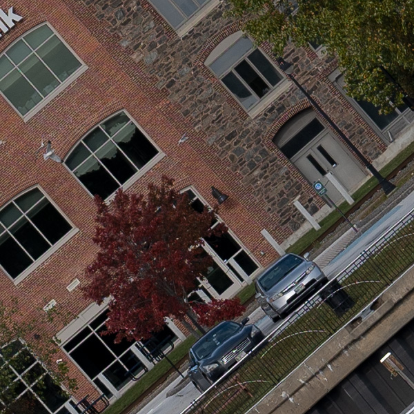 Panasonic Lumix S PRO 70-200mm f/2.8 O.I.S. Review: Field Test -- Gallery Image