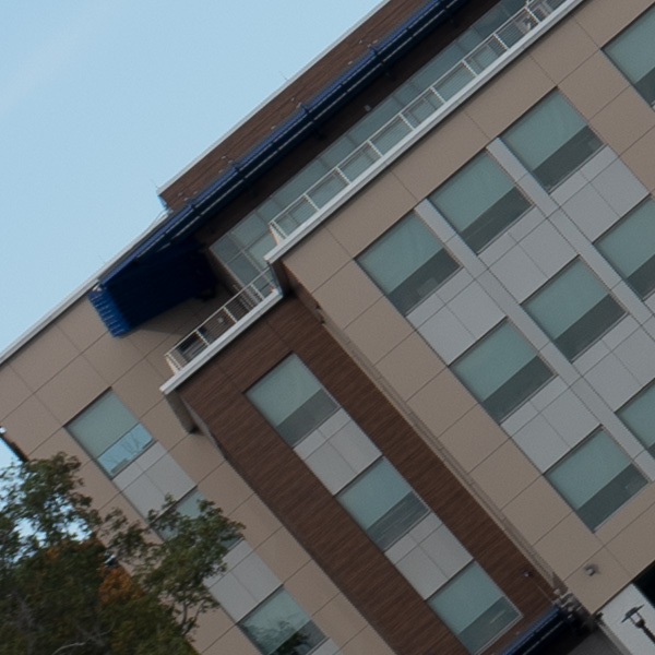 Panasonic Lumix S PRO 70-200mm f/2.8 O.I.S. Review: Field Test -- Gallery Image