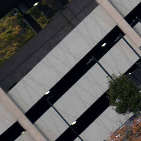 Panasonic Lumix S PRO 70-200mm f/2.8 O.I.S. Review: Field Test -- Gallery Image