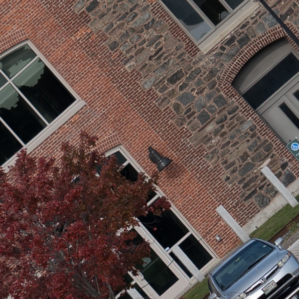 Panasonic Lumix S PRO 70-200mm f/2.8 O.I.S. Review: Field Test -- Gallery Image