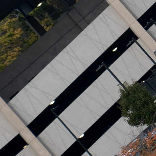 Panasonic Lumix S PRO 70-200mm f/2.8 O.I.S. Review: Field Test -- Gallery Image