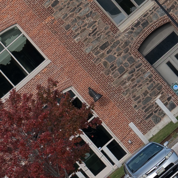 Panasonic Lumix S PRO 70-200mm f/2.8 O.I.S. Review: Field Test -- Gallery Image