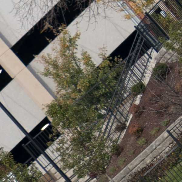 Panasonic Lumix S PRO 70-200mm f/2.8 O.I.S. Review: Field Test -- Gallery Image