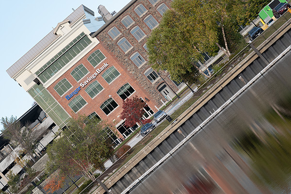 Panasonic Lumix S PRO 70-200mm f/2.8 O.I.S. Review: Field Test -- Gallery Image