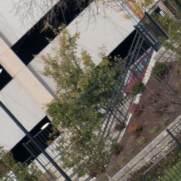 Panasonic Lumix S PRO 70-200mm f/2.8 O.I.S. Review: Field Test -- Gallery Image