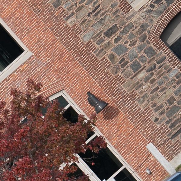 Panasonic Lumix S PRO 70-200mm f/2.8 O.I.S. Review: Field Test -- Gallery Image