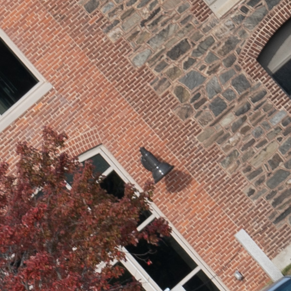 Panasonic Lumix S PRO 70-200mm f/2.8 O.I.S. Review: Field Test -- Gallery Image