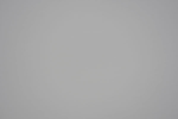 Sigma 100-400mm f/5-6.3 DG OS HSM Contemporary Review: Field Test -- Vignette Test Image