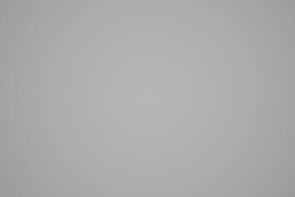 Sigma 100-400mm f/5-6.3 DG OS HSM Contemporary Review: Field Test -- Vignette Test Image