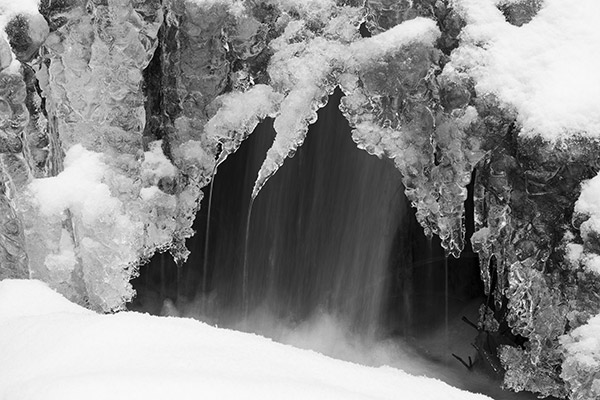 Sigma 105mm f/1.4 DG HSM Art Review: Field Test -- Gallery Image