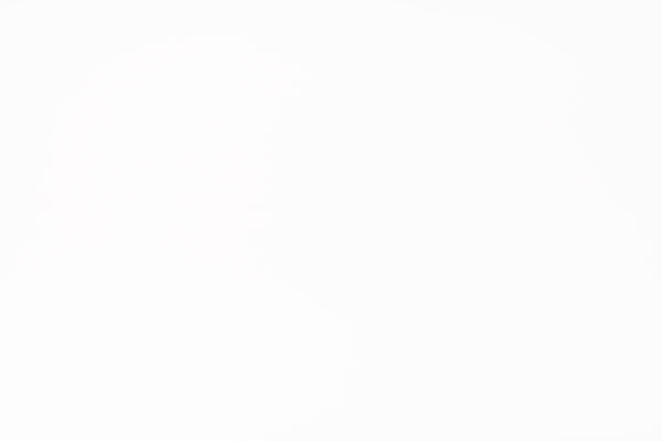 Sigma 105mm f/1.4 DG HSM Art Review: Field Test -- Gallery Image