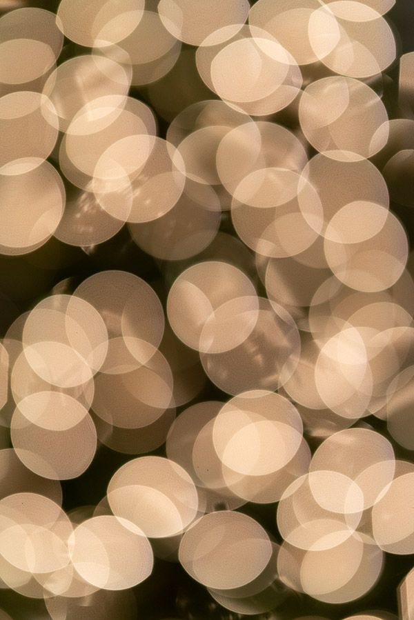 Sigma 105mm f/1.4 DG HSM Art Review: Field Test -- Gallery Image