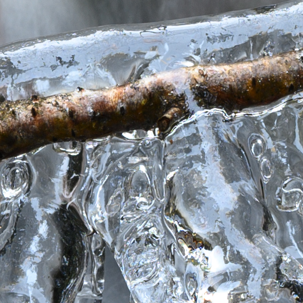 Sigma 105mm f/1.4 DG HSM Art Review: Field Test -- Gallery Image