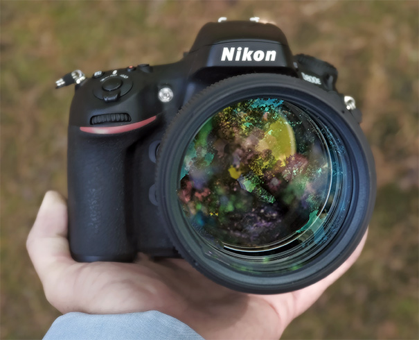 Sigma 135mm f/1.8 - Sample Image