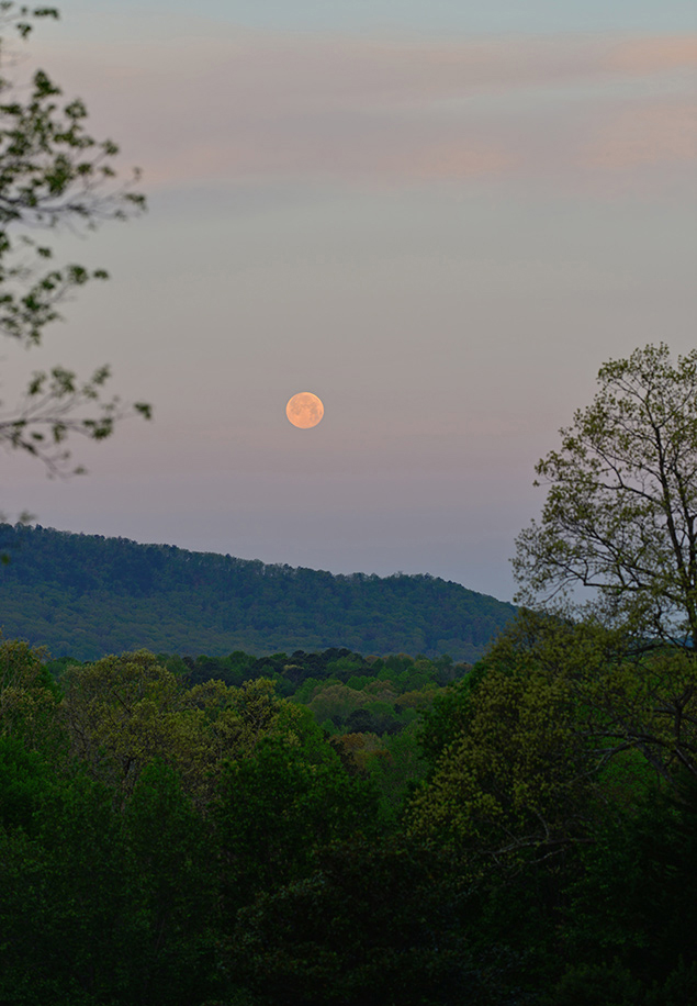 Sigma 135mm f/1.8 - Sample Image