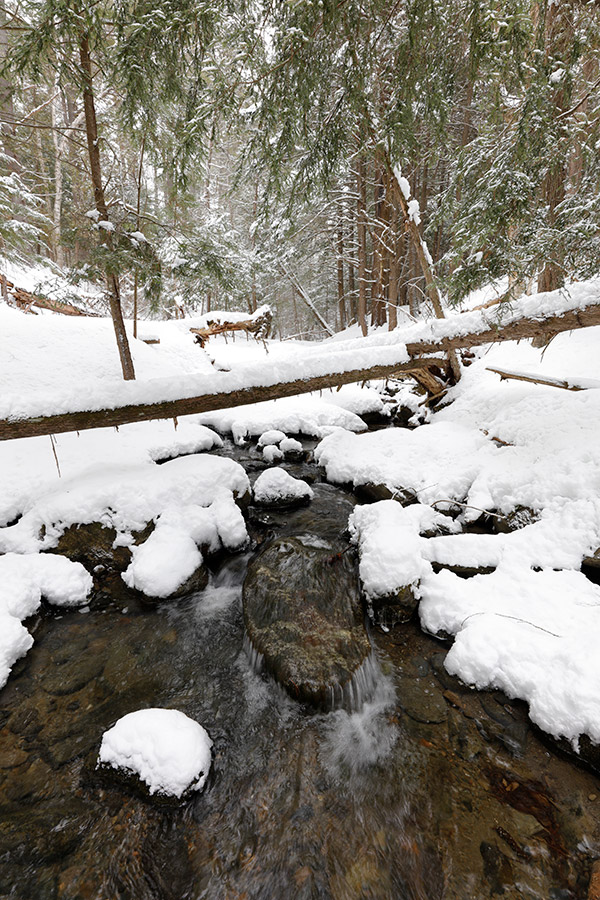 Sigma 14-24mm f/2.8 DG HSM Art Review: Field Test -- Gallery Image