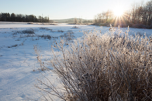 Sigma 14-24mm f/2.8 DG HSM Art Review: Field Test -- Gallery Image