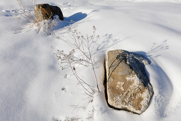 Sigma 14-24mm f/2.8 DG HSM Art Review: Field Test -- Gallery Image