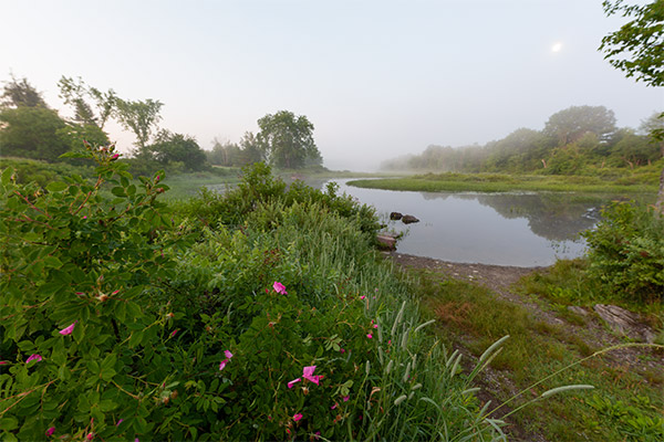 Sigma 14mm f/1.8 DG HSM Art Review: Field Test -- Gallery Image