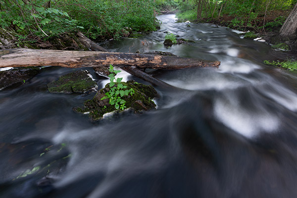 Sigma 14mm f/1.8 DG HSM Art Review: Field Test -- Gallery Image