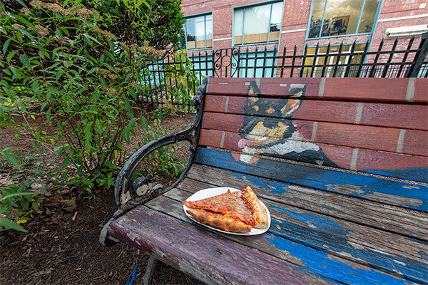 Sigma 14mm f/1.8 DG HSM Art Review: Field Test -- Gallery Image