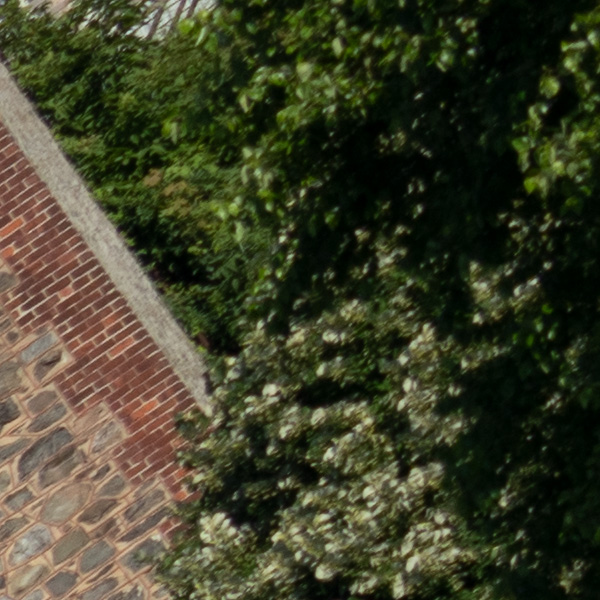 Sigma 150-600mm f/5-6.3 DG DN OS Sports Review: Field Test -- Gallery Image