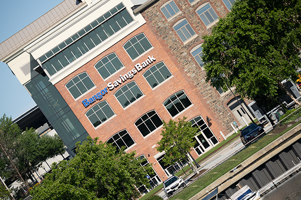 Sigma 150-600mm f/5-6.3 DG DN OS Sports Review: Field Test -- Gallery Image