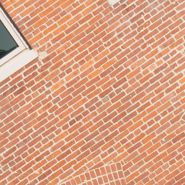 Sigma 150-600mm f/5-6.3 DG DN OS Sports Review: Field Test -- Gallery Image