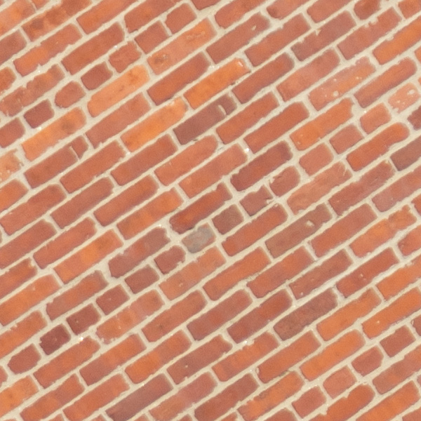 Sigma 150-600mm f/5-6.3 DG DN OS Sports Review: Field Test -- Gallery Image