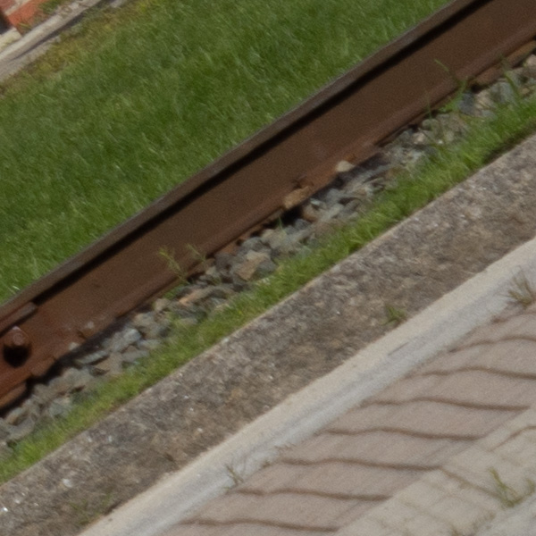 Sigma 150-600mm f/5-6.3 DG DN OS Sports Review: Field Test -- Gallery Image