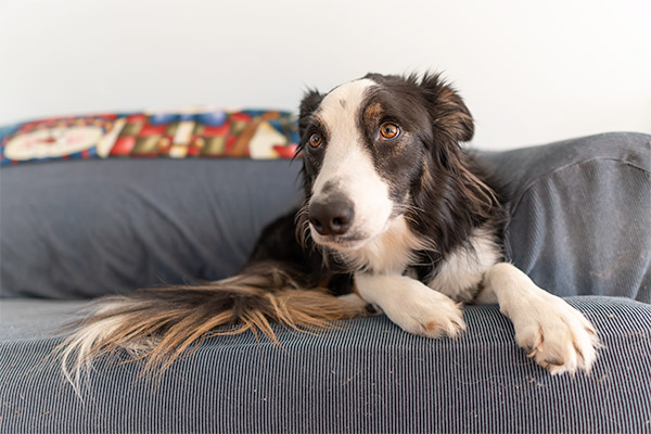 Sigma 16mm f/1.4 DC DN Contemporary Review: Field Test -- Gallery Image