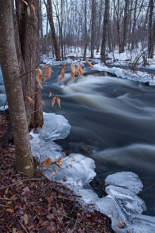 Sigma 16mm f/1.4 DC DN Contemporary Review: Field Test -- Gallery Image