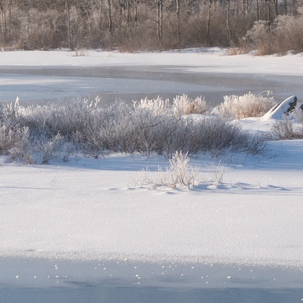 Sigma 16mm f/1.4 DC DN Contemporary Review: Field Test -- Gallery Image