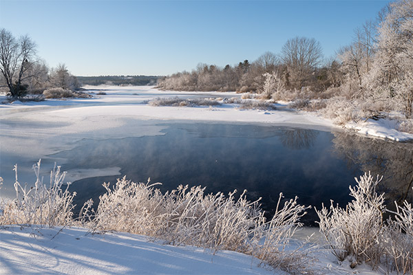 Sigma 16mm f/1.4 DC DN Contemporary Review: Field Test -- Gallery Image