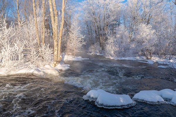 Sigma 16mm f/1.4 DC DN Contemporary Review: Field Test -- Gallery Image