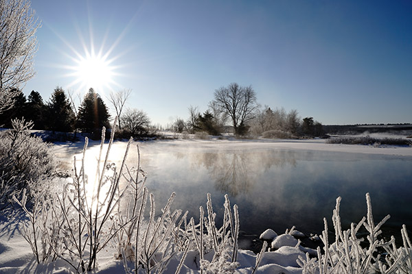 Sigma 16mm f/1.4 DC DN Contemporary Review: Field Test -- Gallery Image