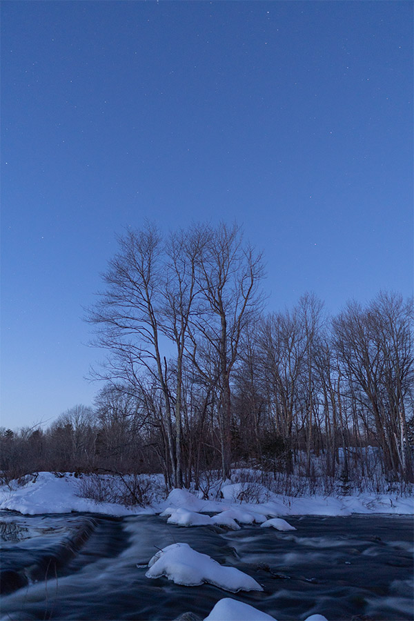 Sigma 16mm f/1.4 DC DN Contemporary Review: Field Test -- Gallery Image