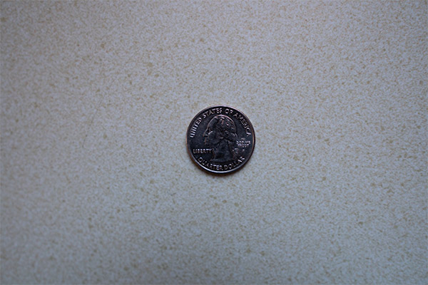 Sigma 16mm f/1.4 DC DN Contemporary Review: Field Test -- Gallery Image