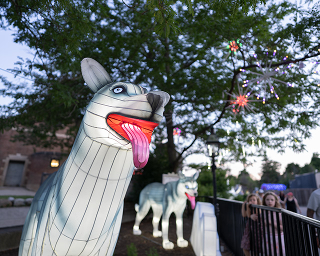 Sigma 20mm F1.4 DG DN Art Review -- Gallery Image