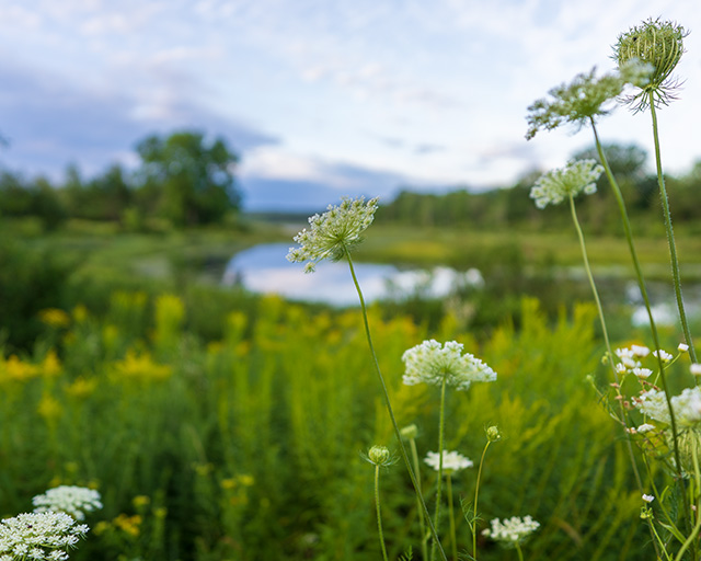 Sigma 20mm F1.4 DG DN Art Review -- Gallery Image