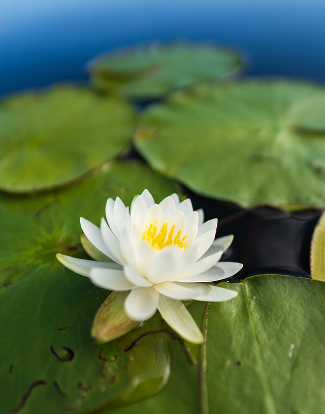 Sigma 20mm F1.4 DG DN Art Review -- Gallery Image