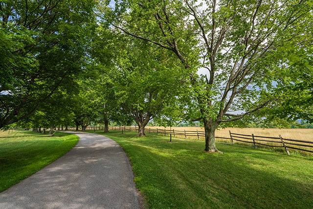 Sigma 20mm F1.4 DG DN Art Review -- Gallery Image