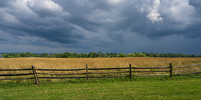 Sigma 20mm F1.4 DG DN Art Review -- Gallery Image