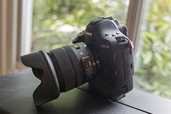 Sigma 24-70mm f/2.8 Art Field Test -- Gallery Image