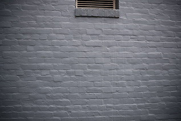 Sigma 24-70mm f/2.8 Art Field Test -- Gallery Image