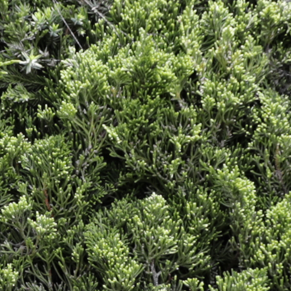 Sigma 24-70mm f/2.8 Art Field Test -- Gallery Image