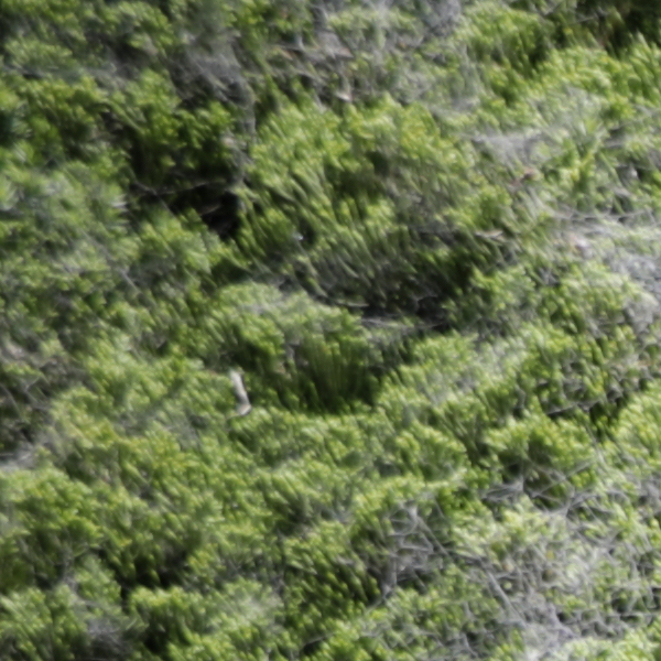 Sigma 24-70mm f/2.8 Art Field Test -- Gallery Image