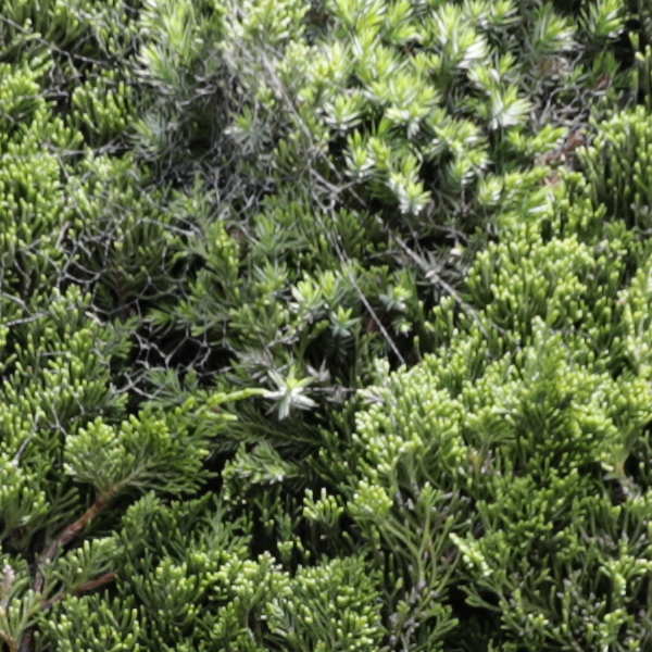 Sigma 24-70mm f/2.8 Art Field Test -- Gallery Image