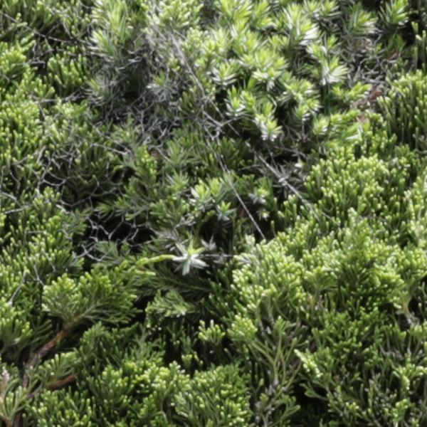 Sigma 24-70mm f/2.8 Art Field Test -- Gallery Image